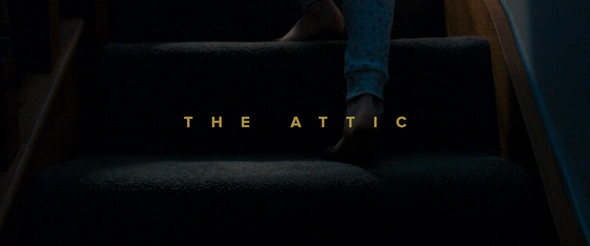 The Attic Watch Video New Community Church   The Attic Film Cover 